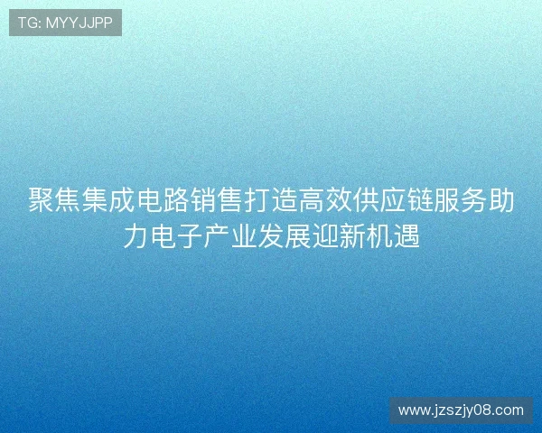 聚焦集成电路销售打造高效供应链服务助力电子产业发展迎新机遇